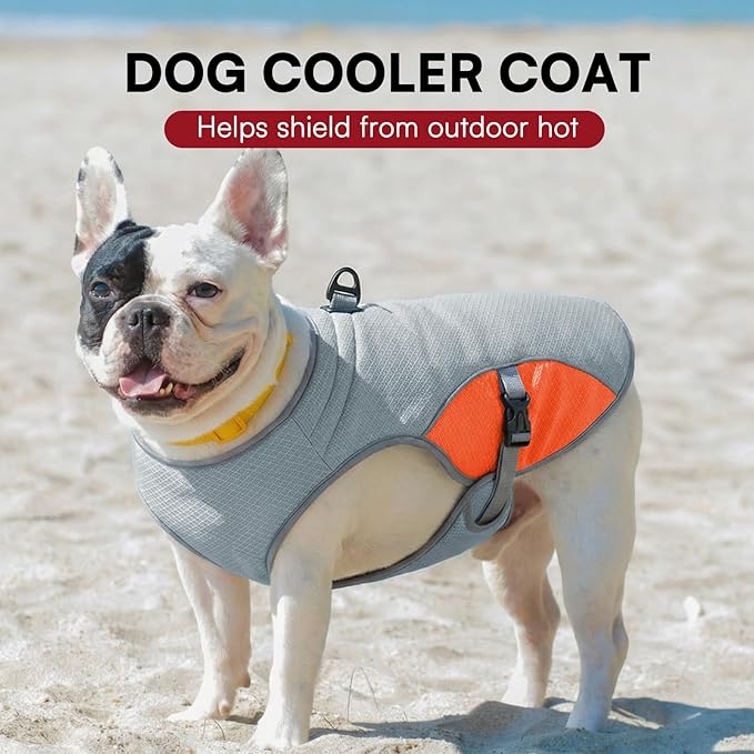 Dog Cooling Vest for Small Dogs, Cooling Jacket for Dogs with Mesh and D Ring, Dog Reflective Stripe Jacket for Hot Weather, Orange-S