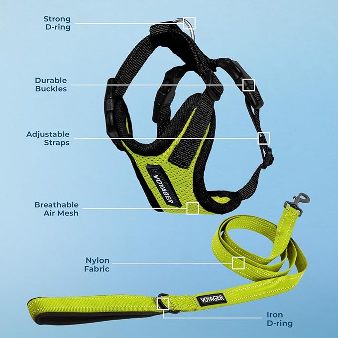 Best Pet Supplies Voyager Step-in Lock Pet Harness w Reflective Pet Leash Combo Set with Neoprene Handle 5ft - Supports Small, Medium and Large Breed Puppies/Cats - Lime Green/Black Trim Set, M