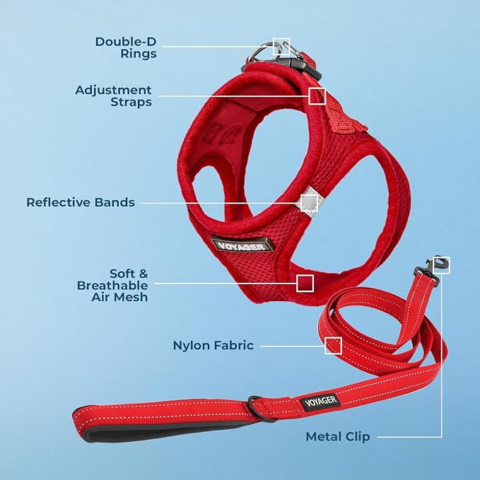 Best Pet Supplies Voyager Step-in Air All Weather Mesh Harness and Reflective Dog 5ft Leash Combo with Neoprene Handle, for Small, Medium and Large Breed Puppies - Set (Red), XXX-Small