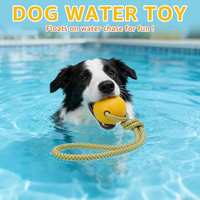 SCENEREAL Floating Dog Pool Toys - Ball on Rope Fetch and Tug-of-War Toy for Medium Large Dogs Outdoor Training, EVA Rubber Water Pet Interactive Toys for Summer Beach, 2 Pack, Orange & Yellow