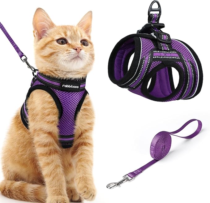 rabbitgoo Cat Harness and Leash, Step-in Escape Proof Kitten Harness Set, Soft Comfortable Cat Vest, Easy to Wear and Adjust, Reflective for Safe Outdoor Walking, Purple, Medium