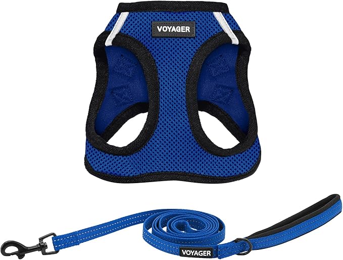 Best Pet Supplies Voyager Step-in Air All Weather Mesh Harness and Reflective Dog 5ft Leash Combo with Neoprene Handle, for Small, Medium and Large Breed Puppies - Set (Royal Blue/Black Trim), Small