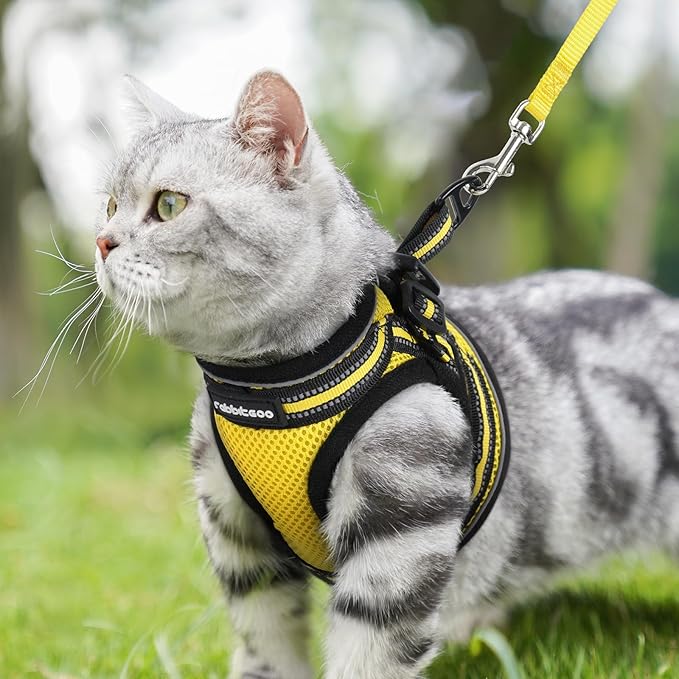 rabbitgoo Cat Harness and Leash, Step-in Escape Proof Kitten Harness Set, Soft Comfortable Cat Vest, Easy to Wear and Adjust, Reflective for Safe Outdoor Walking, Bright Yellow, Large
