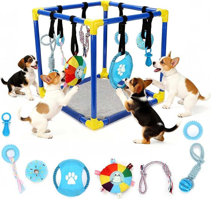 Puppy Play Gym with Hanging Toys, Dog Indoor Jungle Gym as Activities Center for Puppies, PVC Frame with 8 Enrichment Toys for Small Dogs Kitten and Other Pets