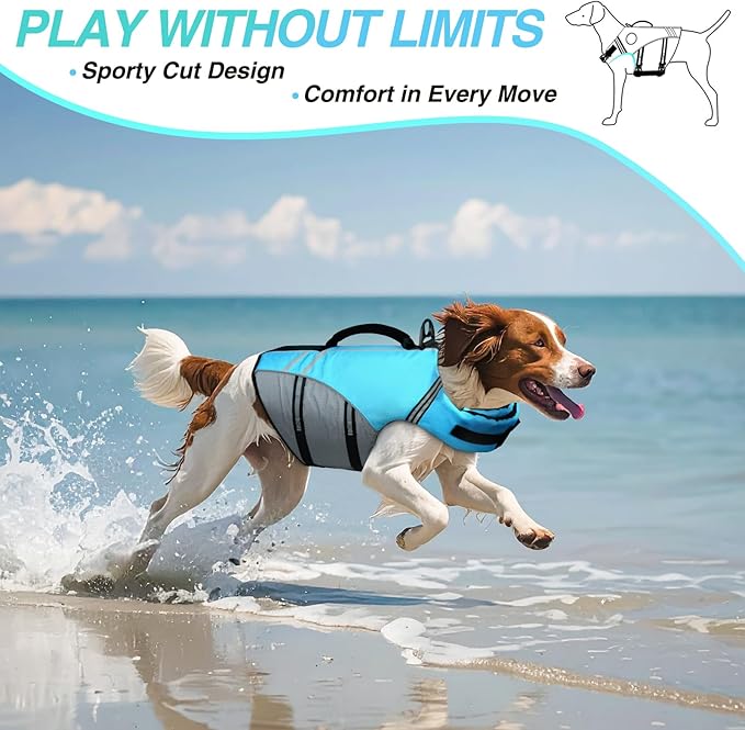 VIVAGLORY Sports Style Dog Life Vest, Dog Life Jacket for Swimming & Boating, Ripstop & Buoyancy for Puppy Doggy, Lifejacket with Handle, S, Blue