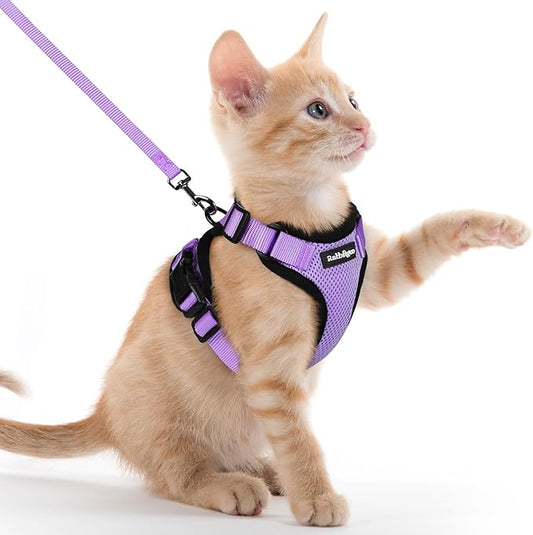 rabbitgoo Cat Harness and Leash Set, Escape Proof Kitten Harness for Safe Outdoor Walks, Soft Breathable Adjustable Vest with Reflective Strips for Kittens and Extra Small Cats, Light Purple, XXS