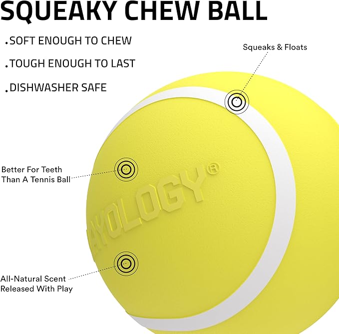 Playology Dog Toys | Squeaky Chew Ball for Dogs | Chicken Scented Medium Dog Ball | Bouncy Floating Chew Toys for Fetch