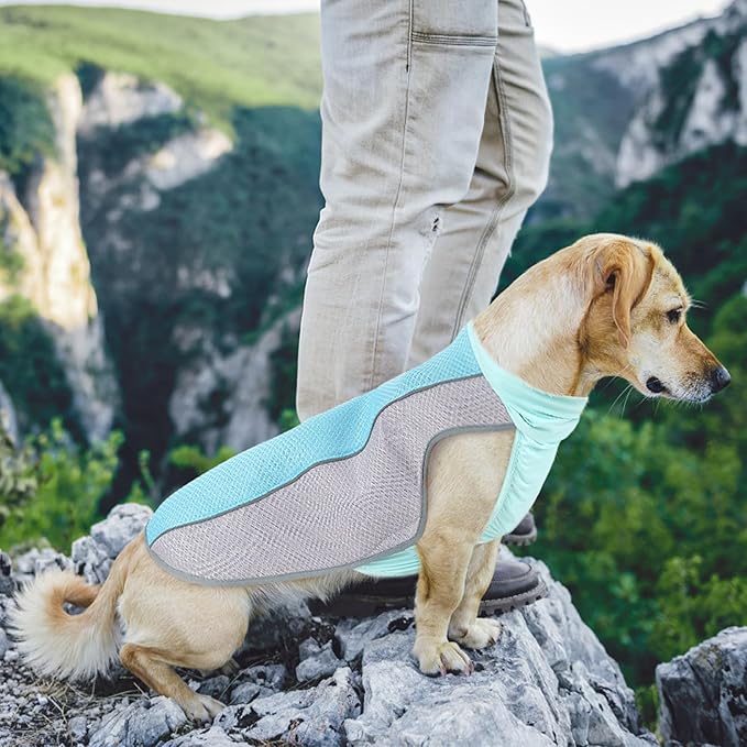 Dog Cooling Vest for Summer, Breathable Mesh Cooling Shirt Jacket for Dogs Summer Heat Relief, Lightweight Cooling Dog Harness Pet Cooler Suit for Outdoor Hiking Walking Hot Weather(Blue XL)