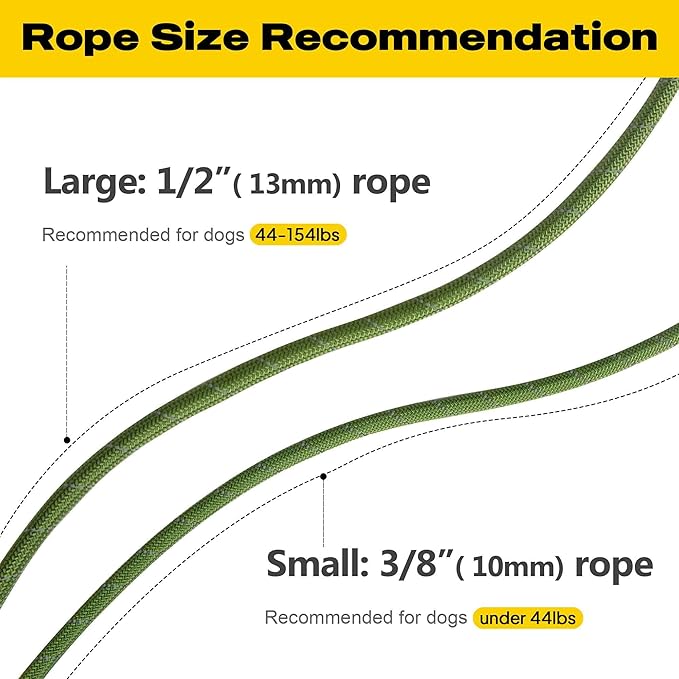 Fida Durable Slip Lead Dog Leash, 6 FT x 3/8" Heavy Duty Comfortable Strong Rope Slip Lead for Small Dogs and Puppies, No Pull Pet Training Leash with Highly Reflective(3/8", Green)