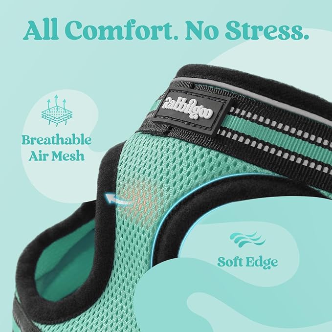 rabbitgoo Cat Harness and Leash, Step-in Escape Proof Kitten Harness Set, Soft Comfortable Cat Vest, Easy to Wear and Adjust, Reflective for Safe Outdoor Walking, Green, Large