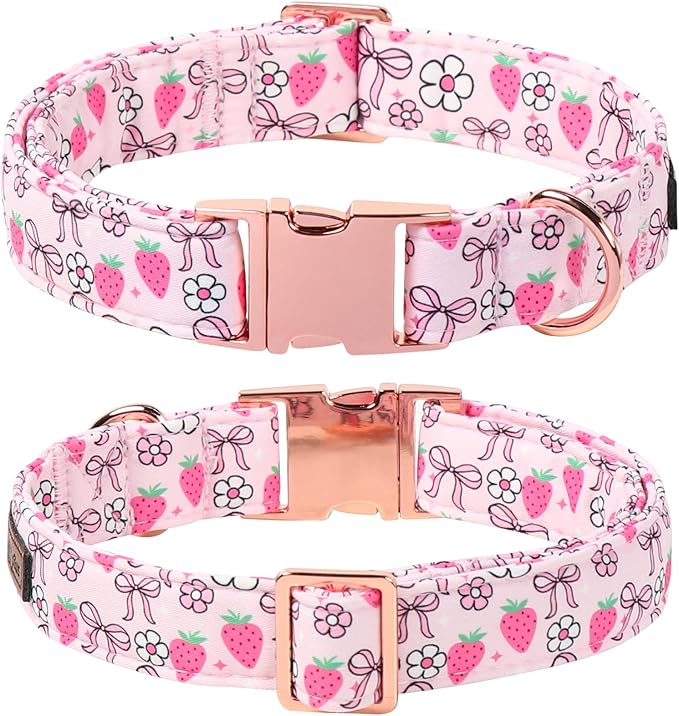 Lionet Paws Strawberry Floral Dog Collar with Sailor Bow, Spring Pink Bow Dog Collars Bow Tie for Dogs, Small, Neck 10-16 inches