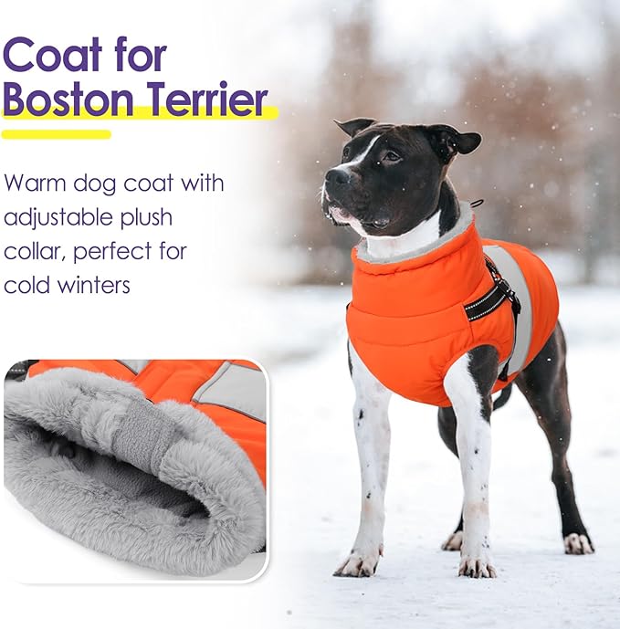 Dog Winter Coat, Waterproof Dog Coat Jacket with Harness for Medium Dogs Boys Girls, Reflective Fleece Lined Pet Snow Jacket Sweaters for Pug, Jack Russel, Boston Terrier, Orange M