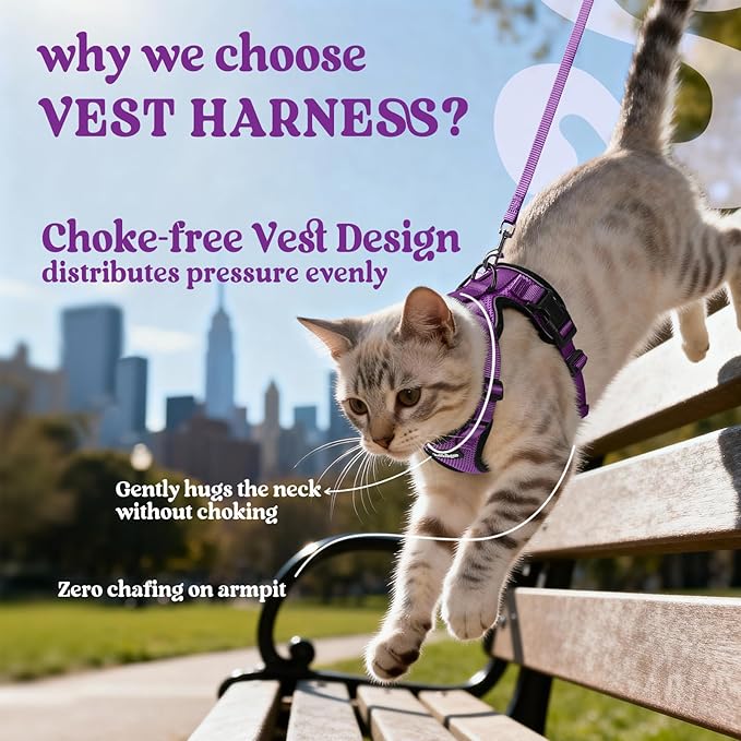 rabbitgoo Cat Harness and Leash Set, Escape Proof Vest Harness for Safe Outdoor Walks, Soft Breathable Adjustable Vest with Reflective Strips for Average to Large Cats, Purple, M