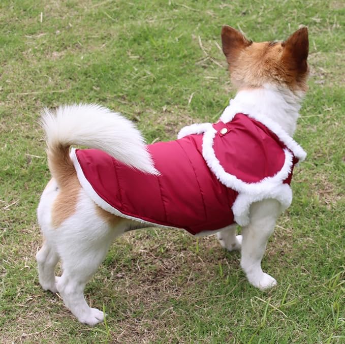 JoyDaog Shawl Design Fleece Lined Warm Dog Jacket for Winter Cold Weather,Soft Windproof Medium Dog Coat,Red L