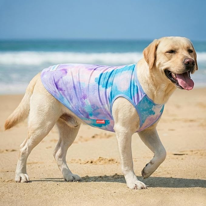 KYEESE 2Pack Dog Cooling Shirt, Breathable Dog Shirt for Dogs, Sun Protection Dogs Cooling Vest Tank Top, Lightweight Soft Sleeveless Summer Pet Clothes, Purple+Blue, 3XL