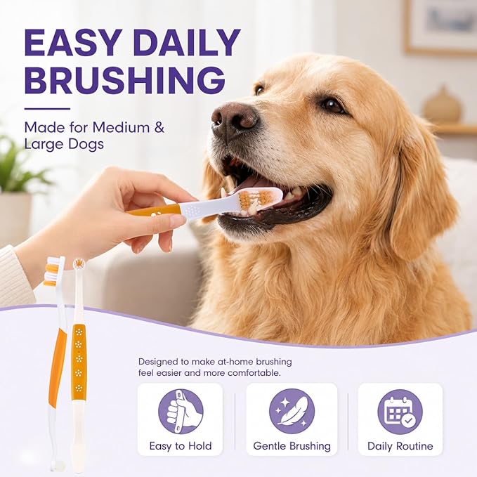 Dog Toothbrush – Newly Upgraded Dual-Head Design with 60° Wavy Bristles–Gently Surrounds Teeth for Deep Cleaning and Plaque Removal – Non-Slip Handle, Ideal for Daily Pet Dental Care (Orange, 2-Pack)