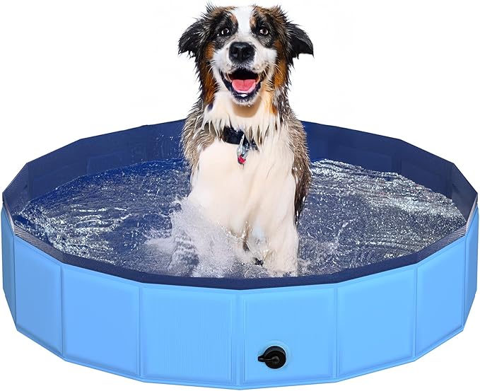 CACSPS 39.5" x 12" Foldable Dog Pool - Collapsible Hard Plastic Kiddie Pool for Dogs & Kids, Non-Slip Pet Bath Tub for Outdoor Backyard Use, Lightweight & Portable (Blue)