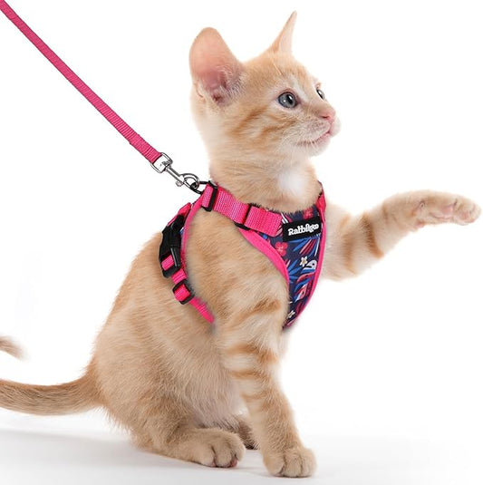 rabbitgoo Cat Harness and Leash Set, Escape Proof Kitten Harness for Safe Outdoor Walks, Soft Breathable Adjustable Vest with Reflective Strips for Kittens and Extra Small Cats, Coconut Fuchsia, XXS