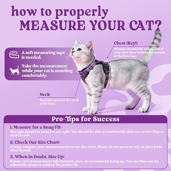 rabbitgoo Cat Harness and Leash Set, Escape Proof Vest Harness for Safe Outdoor Walks, Soft Breathable Adjustable Vest with Reflective Strips for Average to Large Cats, Purple, M
