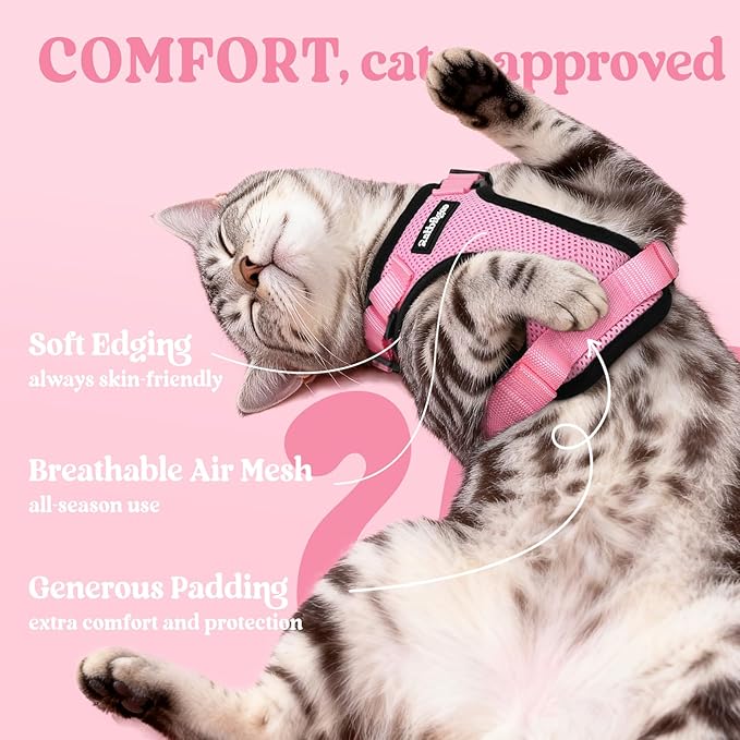 rabbitgoo Cat Harness and Leash Set, Escape Proof Kitten Harness for Safe Outdoor Walks, Soft Breathable Adjustable Vest with Reflective Strips for Kittens and Small Cats, Pink, XS
