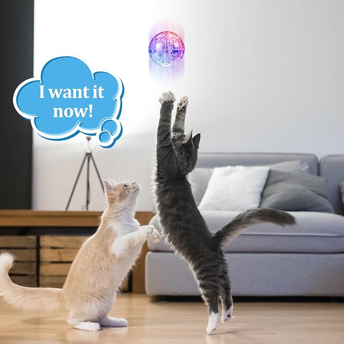 Sratte 2 Pcs Rechargeable Cat Ball Ghost Hunting Light up Cat Balls Toys Motion LED Motion Activated Flash Glowing Lighted Dog Interactive Toys Pet (Clear)