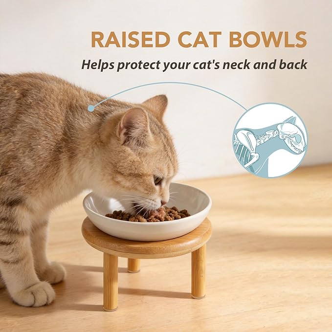 Havniva Elevated Cat Bowls Raised Ceramic Cat Bowl, 5.9” Wide Opening Cat Food Bowl Whisker Friendly Cat Dish Anti-Slip with Bamboo Stand, Shallow Pet Food & Water Bowl for Indoor Cats