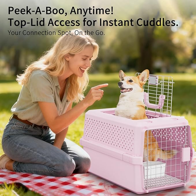 RIZZARI Pets Spree Hard-Sided Pink Pet Carrier, Portable Crate for Medium Dogs & Cats, Durable Plastic with Metal Door & Ventilation, Ideal for Weekend Outings & Air Travel