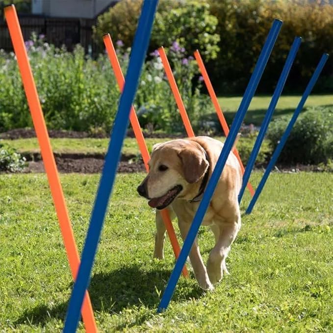 PAWISE Dog Agility Training Equipment,12 Weave Poles for Dogs with Stakes & Carry Bag,Dog Agility Training Set for Outdoor Obstacle Course,Backyard Exercise & Training Equipment for Shepherd Malinois