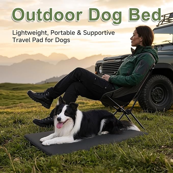 Outdoor XL Dog Crate Pad, Reversible Waterproof Crate Mat Bed, Wipeable Kennel Mat Pet Sleeping for Medium Large Dogs, Waterproof, Wipeable, Anti-Slip, Kennel Pad 41 x 27 Inch, Black