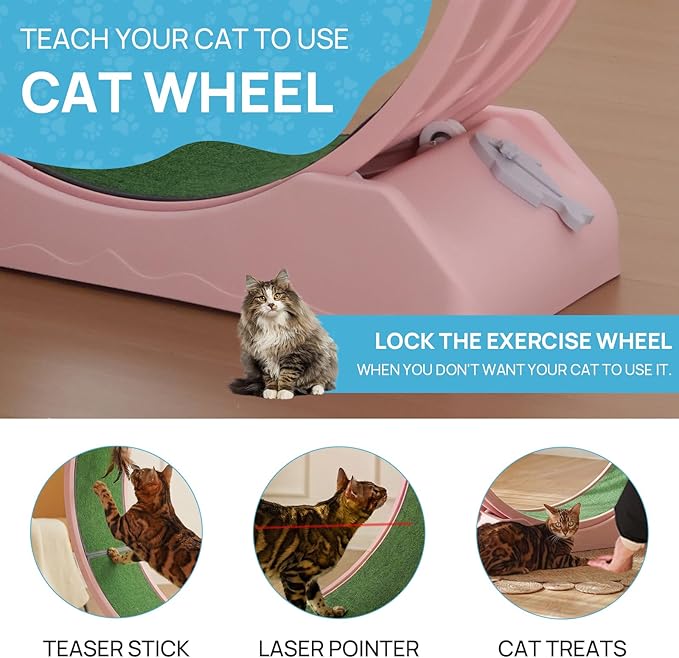 Cat Exercise Wheel, 39.4 Inch Indoor Treadmill for Cats with Carpeted Runway, Screw-Fixed Assembly for Easy Setup, Silent & Safe Fitness Equipment for Most Cats