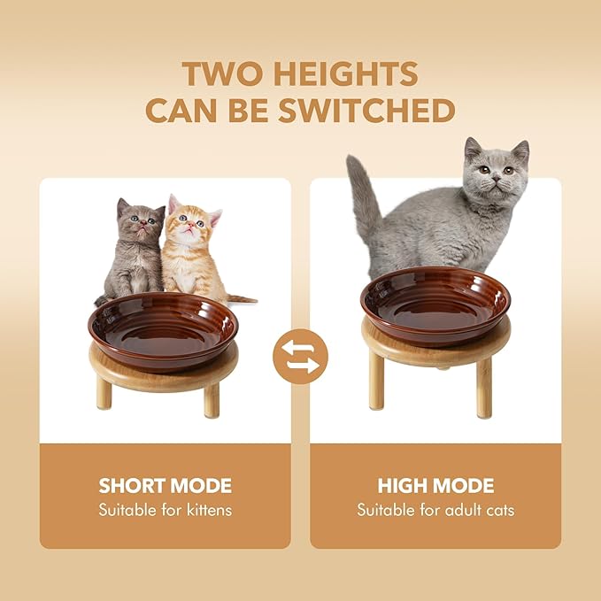 Havniva Elevated Cat Bowls Raised Ceramic Cat Bowl, 5.9” Wide Opening Cat Food Bowl Whisker Friendly Cat Dish Anti-Slip with Bamboo Stand, Shallow Pet Food & Water Bowl for Indoor Cats