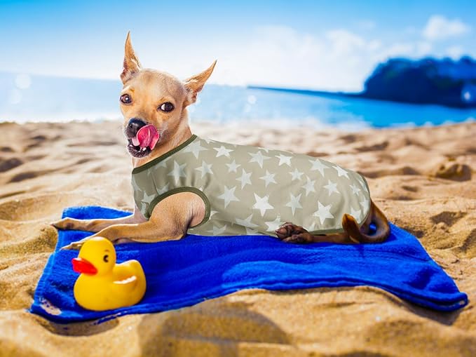 Lightweight Breathable Dog Cooling Shirts, Quick Dry Dog Sunscreen T-Shirt, Professional Pet Summer Vest for Small Medium Large Dogs
