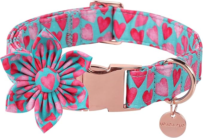 Valentine Dog Collar with Flower, Heart Flower Collar for Puppy Girl Boy Dog or Cat, Comfortable Dog Collar Flower with Durable Metal Buckle, Cute Pet Collar,XL, Neck 16-26in