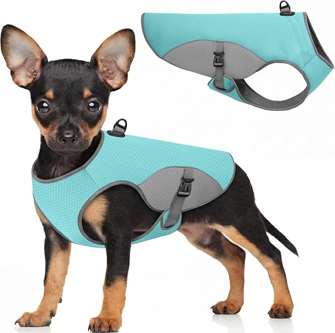 Dog Cooling Vest for Small Dogs, Cooling Jacket for Dogs with Mesh and D Ring, Dog Reflective Stripe Jacket for Hot Weather, Blue-S