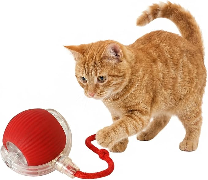 Interactive Dog Cat Toy Ball, Electric Automatic Rolling Moving USB Rechargeable Self Activated Stimulation Toy with Speedy Tail Rope for Indoor Cats and Dogs (Red)