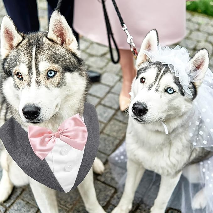 AOFITEE Dog Tuxedo for Large Dogs, Formal Dog Suit and Tie, Gentle Dogs Wedding Party Suit Bow Tie Shirt, Pet Wedding Outfit with Detachable Bowtie Collar for Christmas Halloween Dress Up
