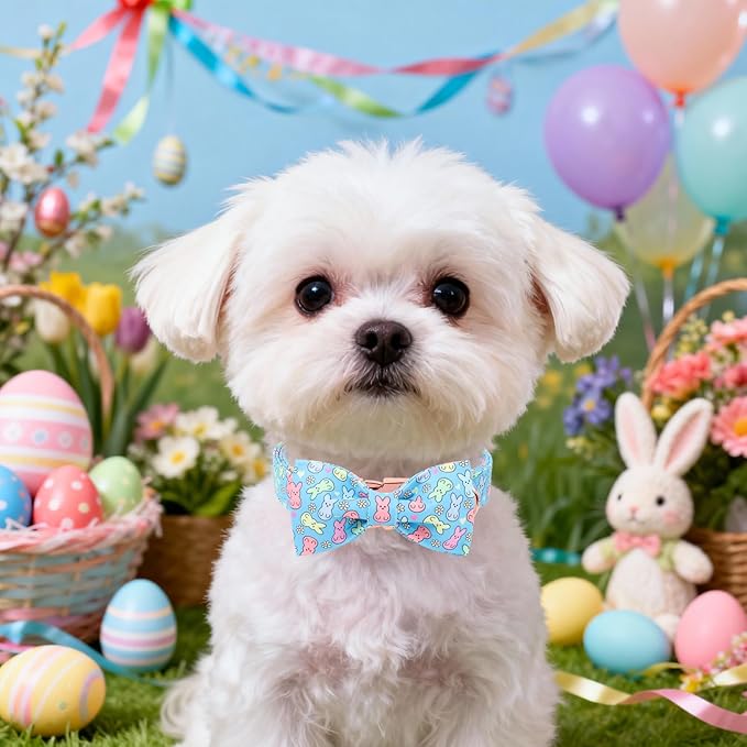 DOGWONG Easter Dog Collar, Blue Bunny Print Dog Collar with Bow, Girl Boy Pet Spring Holiday Dog Collars for Small Dogs,S