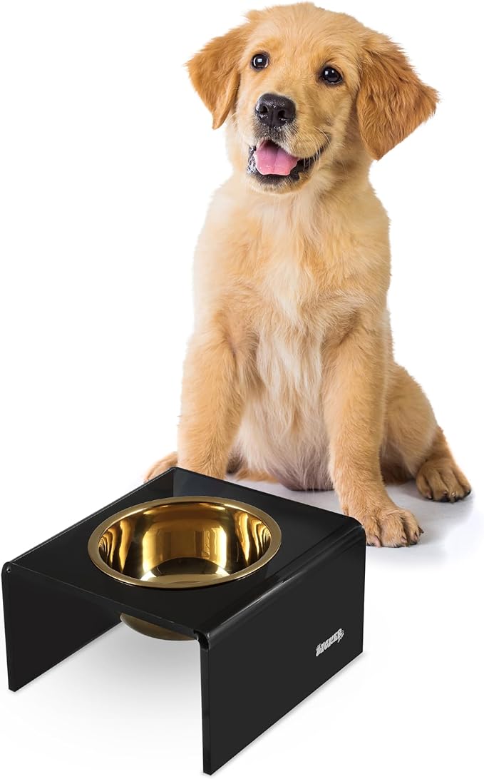 THE LICKER Store DBL2002B Keaton 5" Small/Medium Modern Acrylic Rectangular Elevated Pet Feeder with 20oz 1-Stainless Steel Bowl, Black/Gold