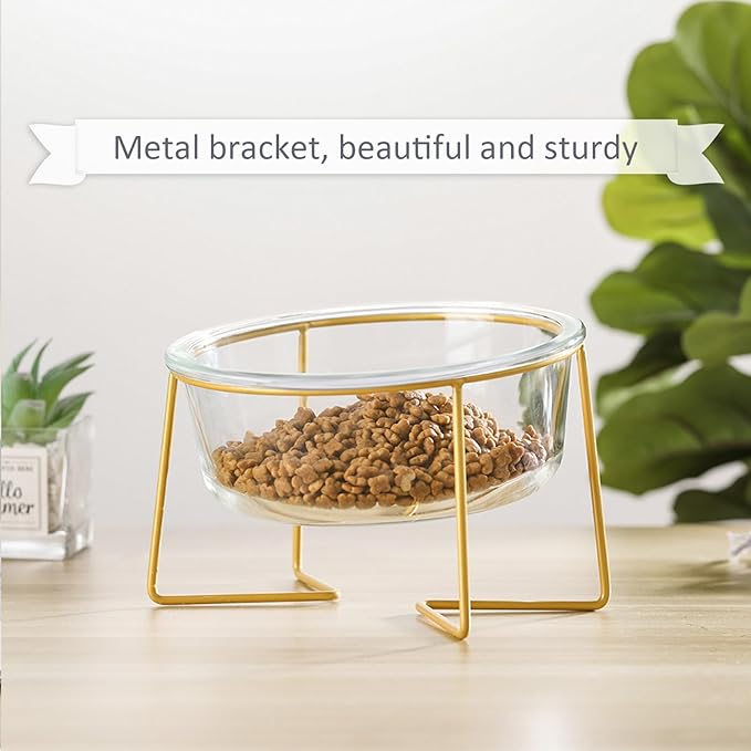 Large Glass Tilted Elevated Cat Dog Bowl Raised Cat Food Water Bowl Dish Pet Comfort Feeding Bowls with Gold Iron Stand