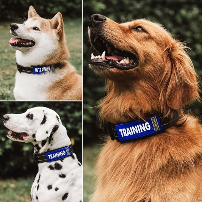 Tuff Pupper 2-Pack Waterproof Collar Sleeves | Fits Any 1 Inch Wide Dog Collar | Dual Sided Message | Durable Silicone & Neoprene | Odor & Stink Proof | Easy Slide On & Off (in Training, Standard)