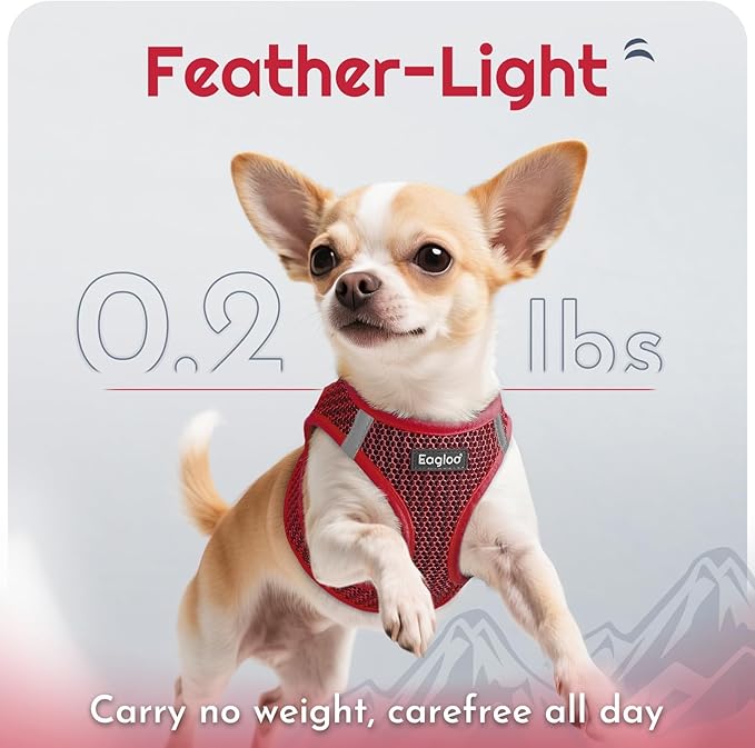 Eagloo Small Dog Harness and Leash Set, Step in Puppy Vest with Breathable Soft Mesh, Walking Reflective Pet Harness for Small Dogs, Red, S