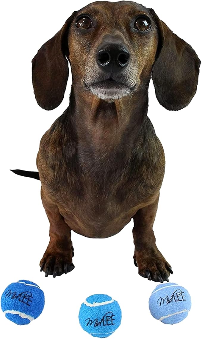 Midlee Mini 1.5" Dog Squeaky Tennis Balls- Set of 6