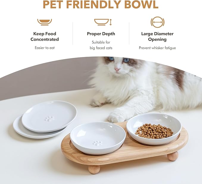 Havniva Cat Bowls Elevated 5.6” Ceramic Cat Bowl with Stand Whisker Friendly Shallow Cat Dishes, Cat Food & Water Bowl Set with Two Heights Options, Anti-Slip Raised Cat Food Bowl for Kitten