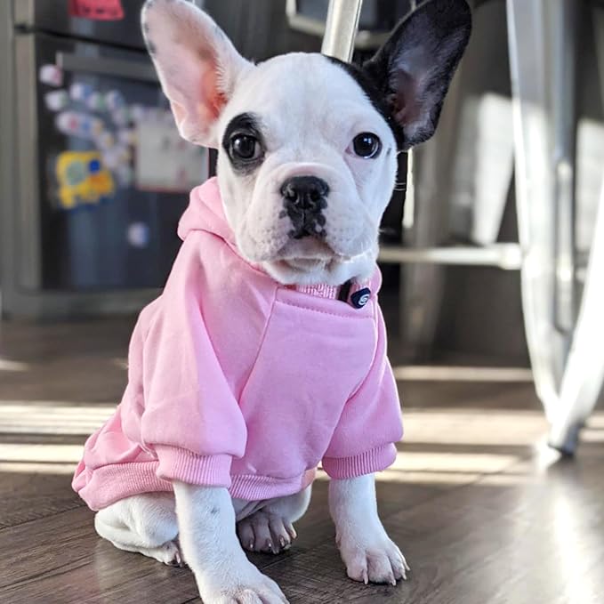 Jecikelon Soft Dog Hoodies for Small Dogs, Fleece Puppy Sweatshirt with Pockets, Warm Winter Cold Weather Coats for Pet Cat, Cute Clothes Puppy Costume (Pink, XX-Small)