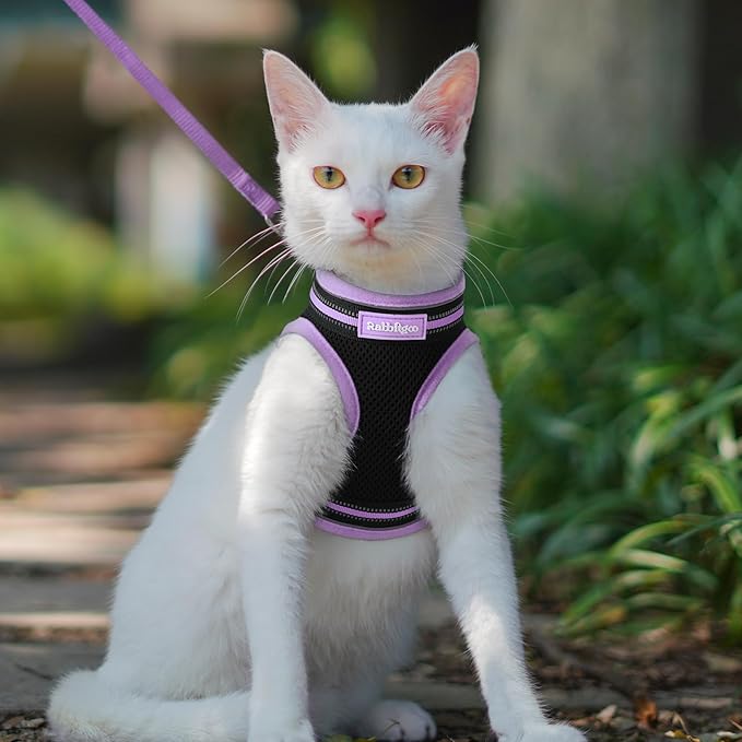 rabbitgoo Cat Harness and Leash, Step-in Escape Proof Kitten Harness Set, Soft Comfortable Cat Vest, Easy to Wear and Adjust, Reflective for Safe Outdoor Walking, Black&Light Purple, Large