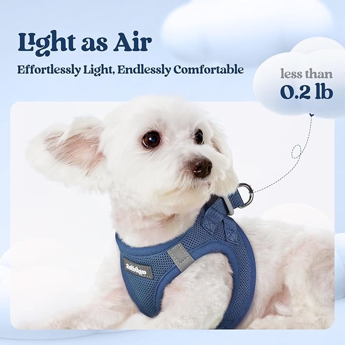 rabbitgoo Dog Harness Small Sized and Leash Set, Step in Soft Light Puppy Vest, Breathable Mesh Pet Harness, Reflective for Safe Outdoor Walking, Navy Blue XXS