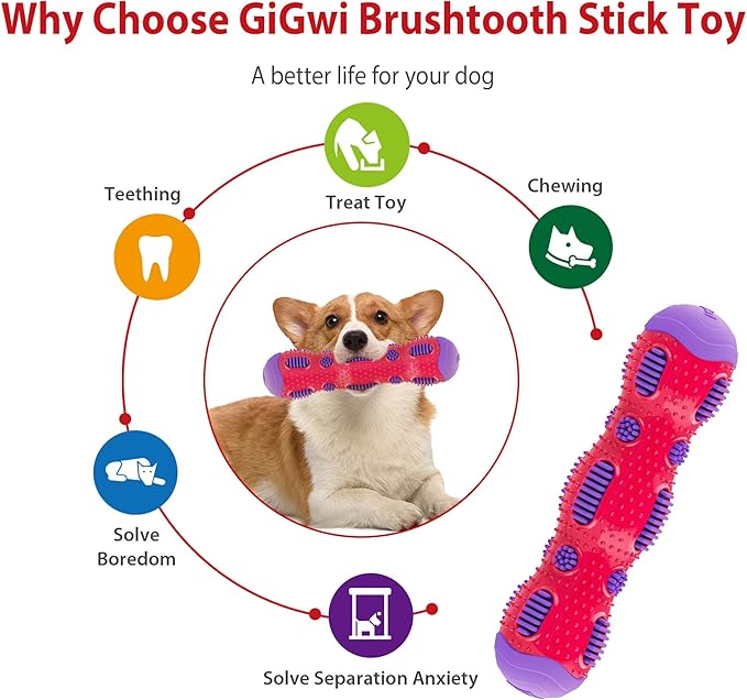 Gigwi Toothbrush Stick Dog Toy for Teeth Cleaning, Durable Rubber Dental Chewy Toy for Medium and Large Dog, Purple Color