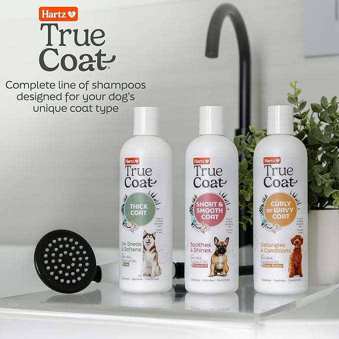 True Coat Short & Smooth Coat Dog Shampoo, 5 in 1 Soothes & Shines with Oat Milk, Coconut Oil & Vitamin E, 16 oz