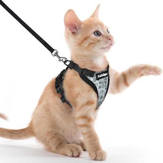 rabbitgoo Cat Harness and Leash Set, Escape Proof Kitten Harness for Safe Outdoor Walks, Soft Breathable Adjustable Vest with Reflective Strips for Kittens and Extra Small Cats, Doodle Gray, XXS