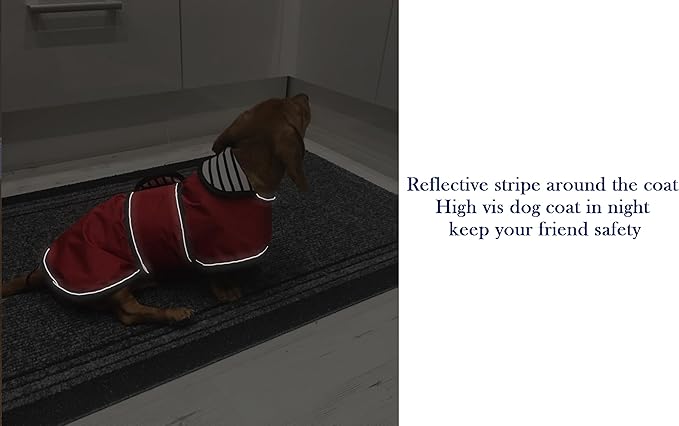 Dachshund Raincoat Corgi Raincoat Dogs Waterproof fit for Dachshunds Weiner Long Back Breeds with Reflective Stripe Great Coverage in Autumn Winter - Red - L